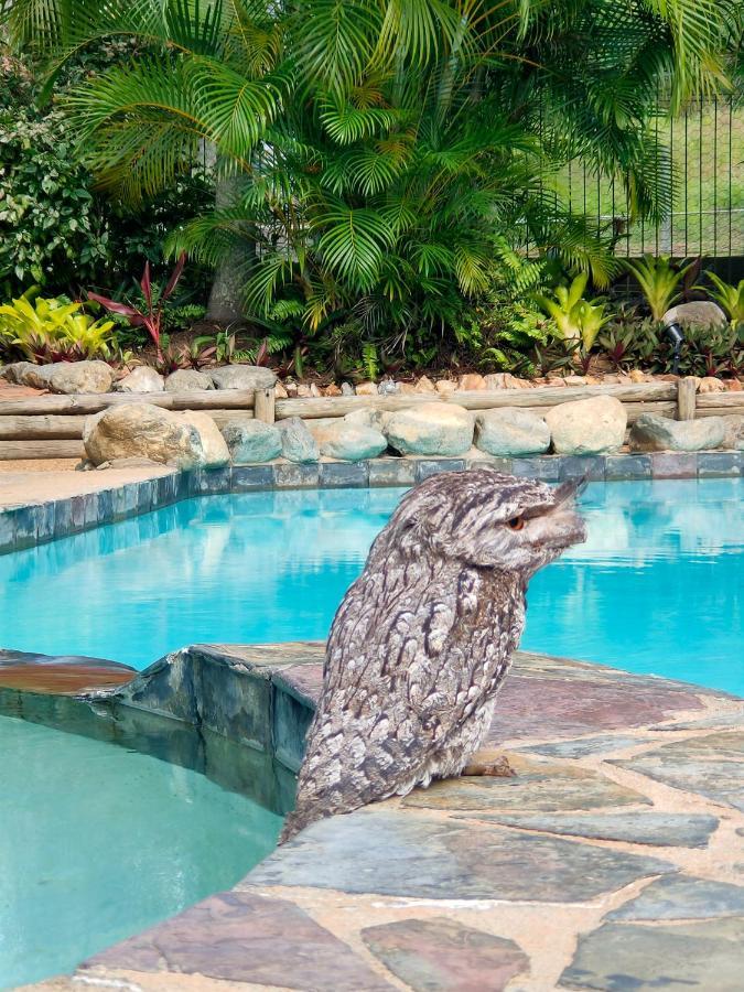 Gumnut Glen Cabins Yeppoon Bagian luar foto